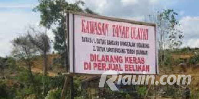 Ribuan Hektar HPT di Hulu Kuantan Kuansing Digarap Perusahaan Sawit, Pemerintah Diam Saja