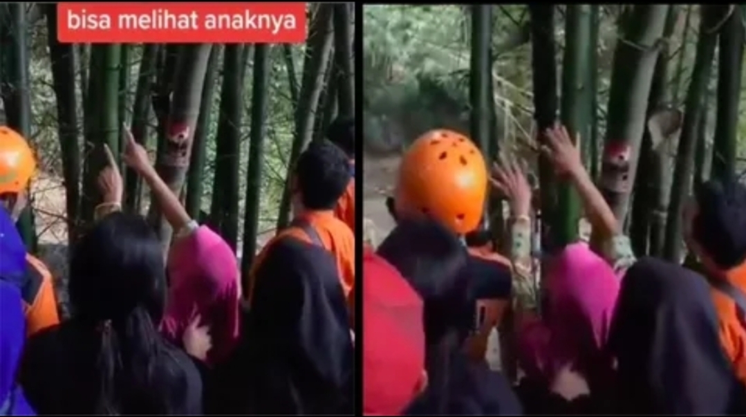 Merinding! Pemuda Hilang Muncul di Pohon Bambu, Cuma Ibunya yang Bisa Lihat
