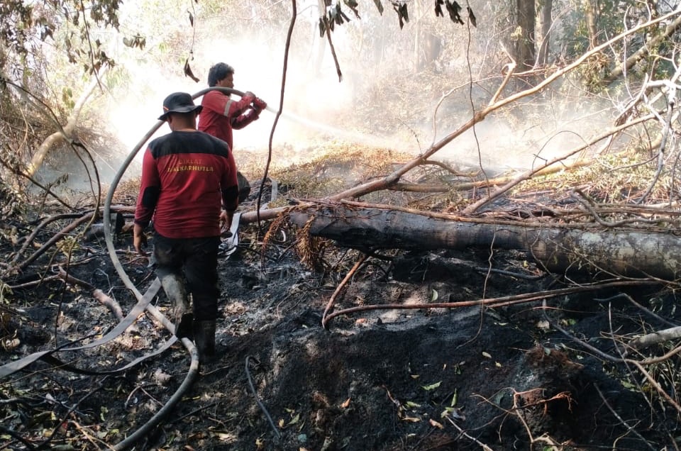  Tim Fire Fighter PT RAPP Bantu Padamkan Karhutla dil 5 Lokasi di Siak