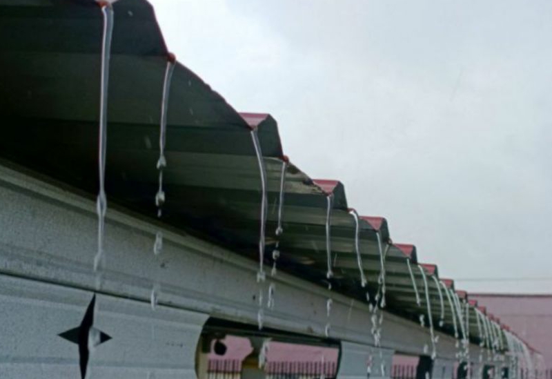 Hari Ini Hujan Intensitas Ringan Bakal Guyur Riau