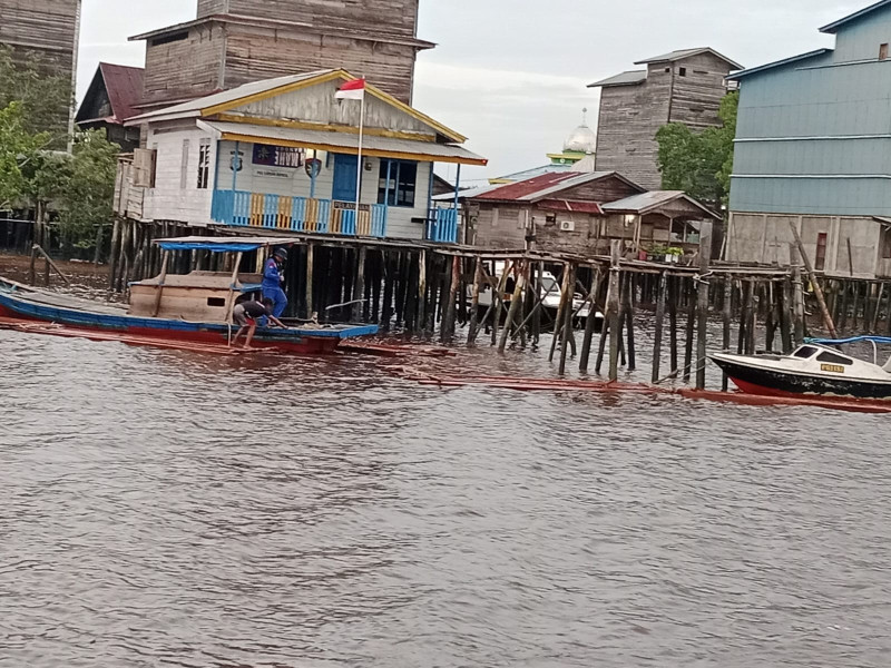 Tiga Pelaku Ilegal Logging di Meranti Diringkus Polisi