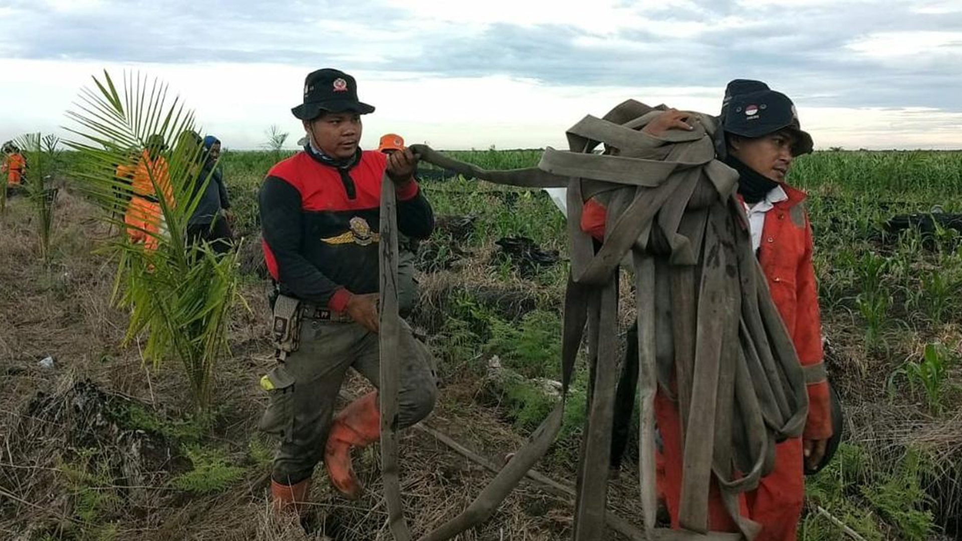 148 Titik Panas dan 7 Titik Api Terdeteksi pada Empat Wilayah di Riau
