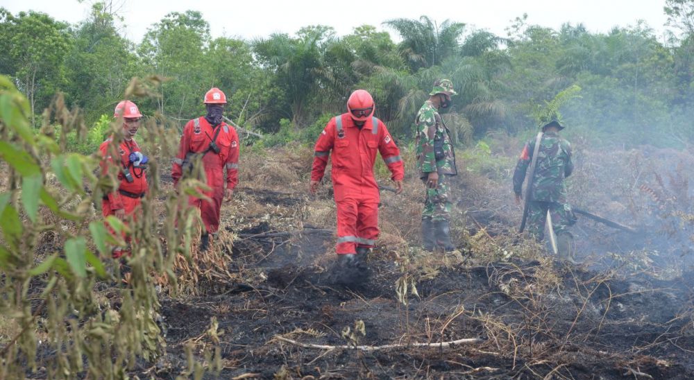 Hujan Bantu Tim Satgas Padamkan Karhutla di Riau