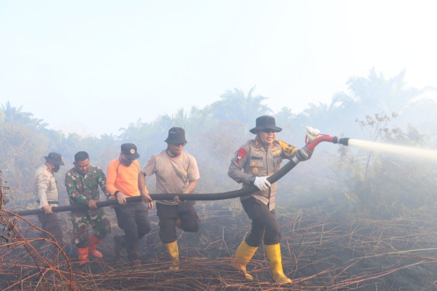 Total 124 Hotspot Karhutla Terdeteksi di Riau, Meranti dan Dumai Terbanyak