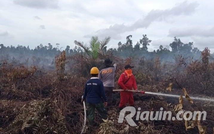 Sudah 4 Hari, Petugas Gabungan Padamkan Api di Kawasan Penyangga Kerumutan Inhu