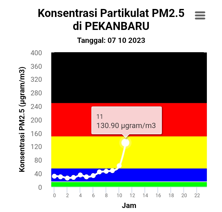 BMKG Deteksi Kualitas Udara Pekanbaru Tidak Sehat