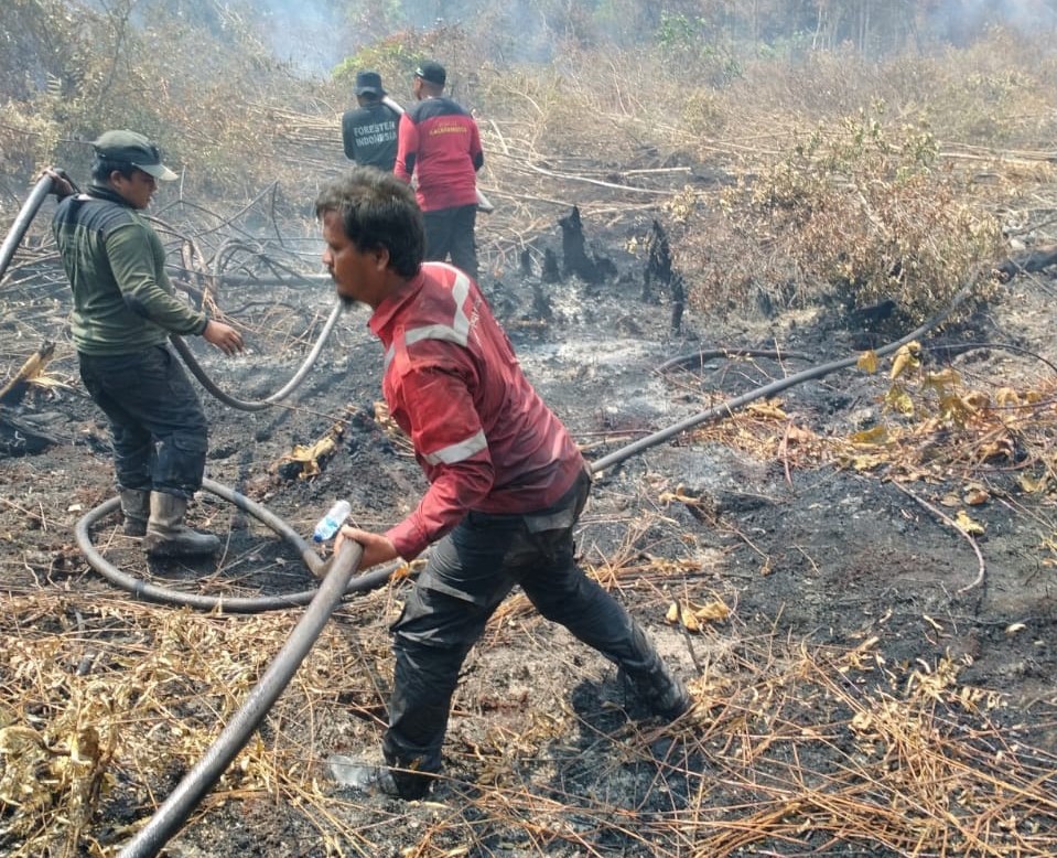 Bantu Padamkan Karhutla, PT RAPP Kerahkan Tim Fire Fighter ke 5 Lokasi di Siak