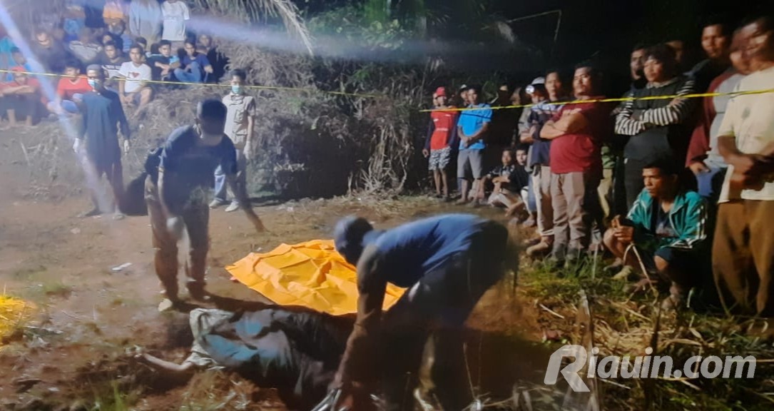 Diduga Dibunuh, Mayat Perempuan Tak Berbusana di Inhu Ditemukan di Kebun Sawit