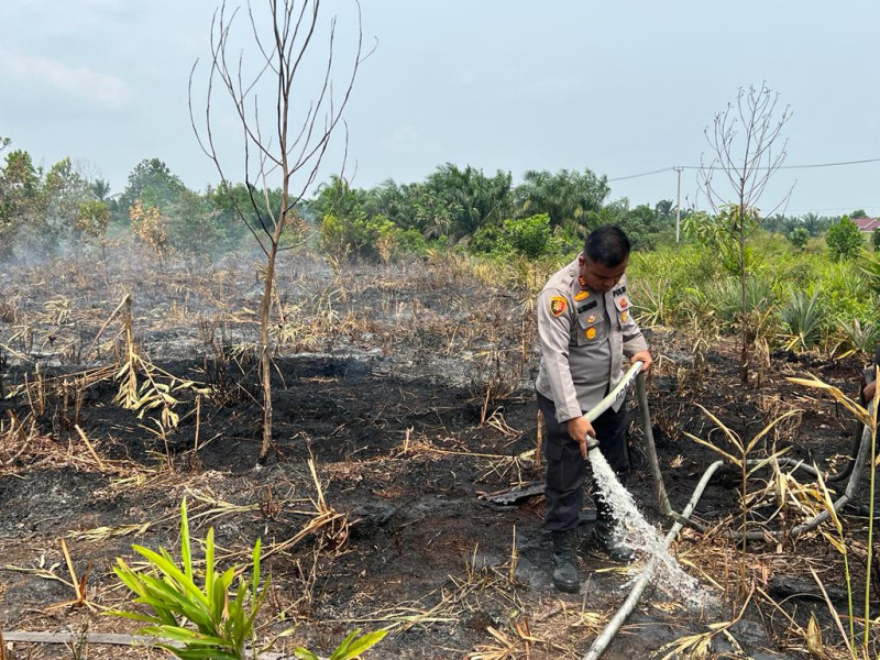 BMKG Kembali Deteksi Sejumlah Hotspot Karhutla di 2 Kabupaten Riau