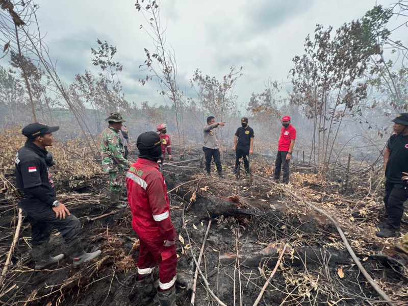 Ratusan Hotspot Karhutla Terdeteksi di 6 Provinsi Sumatera