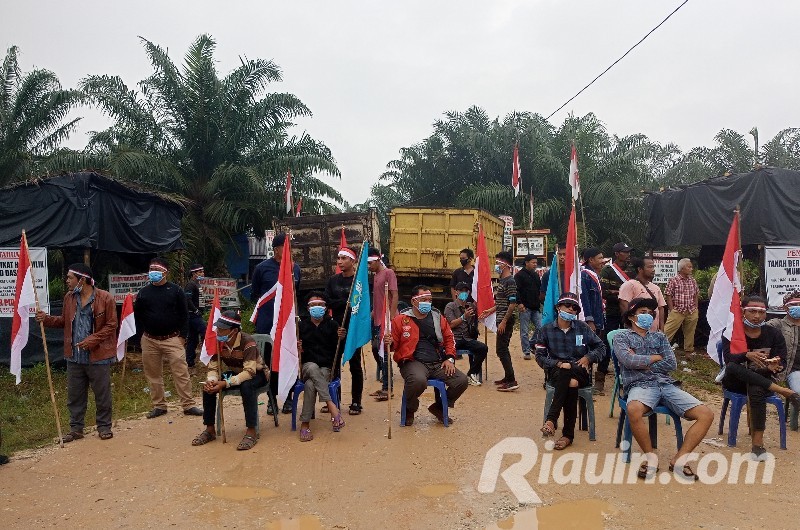 Eksekusi Lahan Menghantui, Warga Desa Dayun Mengadu ke Jokowi dan Kapolri