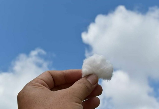 Hotspot Terpantau 9 Titik, Cuaca di Riau Hari Ini Cerah Berawan