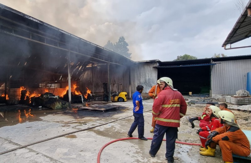 Pabrik Spring Bed di Kulim Ludes Terbakar, Polisi Lakukan Penyelidikan