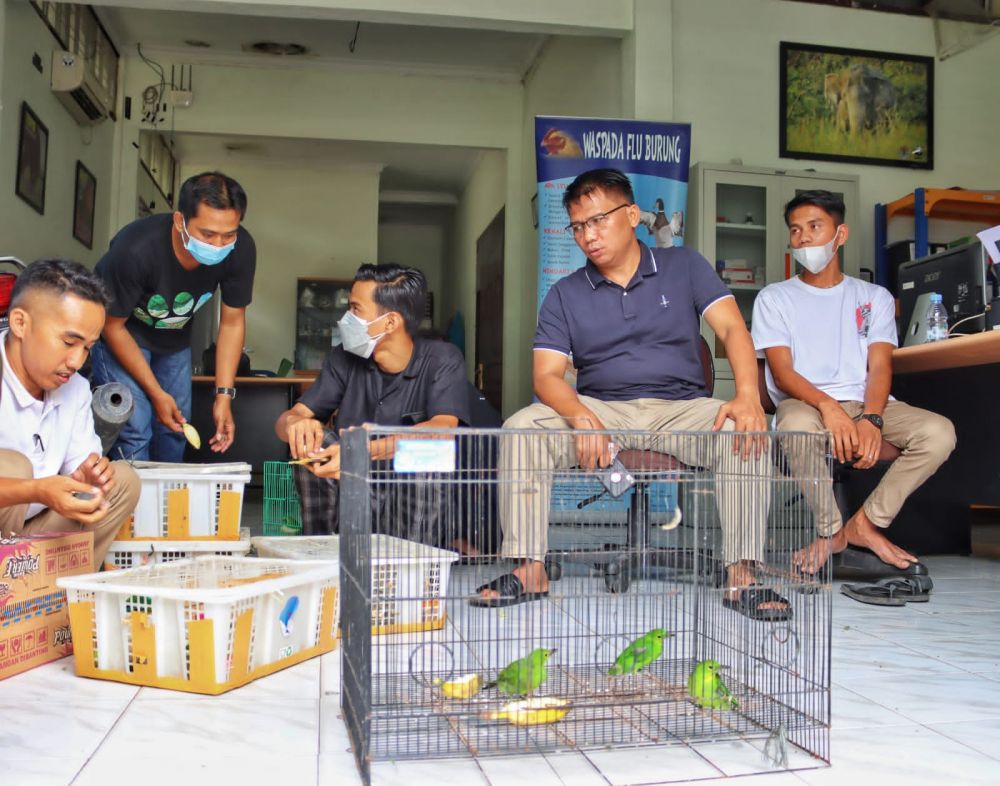 Selundupkan 39 Ekor Burung Cica dari Sumbar, Sopir Travel Terciduk di Pekanbaru