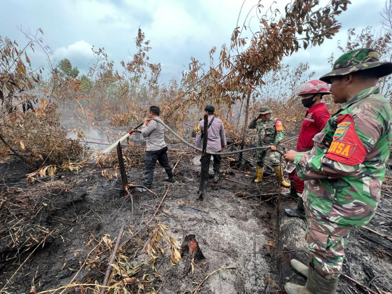 BMKG Deteksi Hotspot Karhutla di 7 Provinsi Sumatera, Jambi Tertinggi