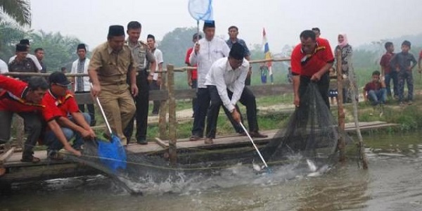 Pemkab Rohil Segera Renovasi Dua TPI