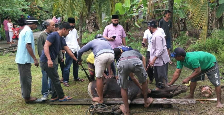 Sembelih 4 Ekor Sapi, Demokrat Siak Ajak Warga Maknai Idul Adha Peduli Sesama