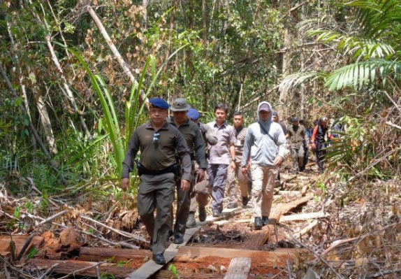 Kapolda Bertindak, Cukong dan Kaki Tangan Ilegal Logging di GSK Bengkalis Ditangkap