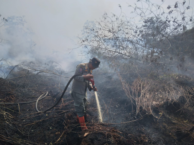 Dua Pekan Terakhir, Total 70 Hektar Lahan di Dumai dan Bengkalis Terbakar