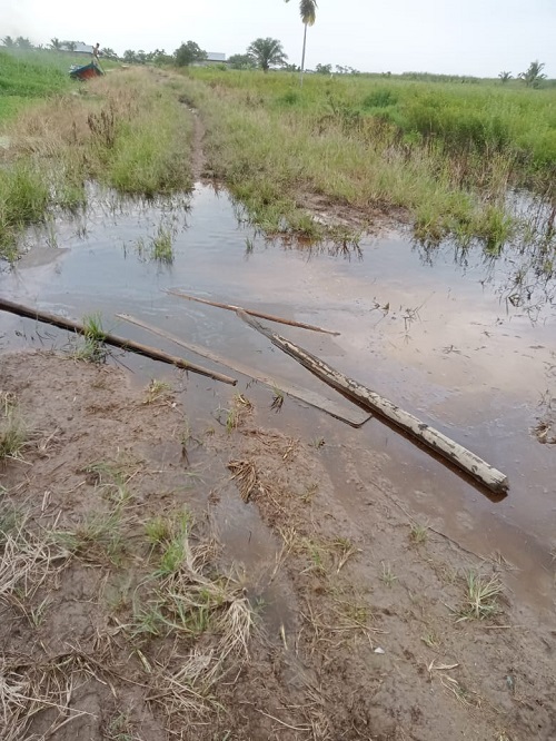 Petani akan Perkarakan Banjir di Desa Sialang Panjang