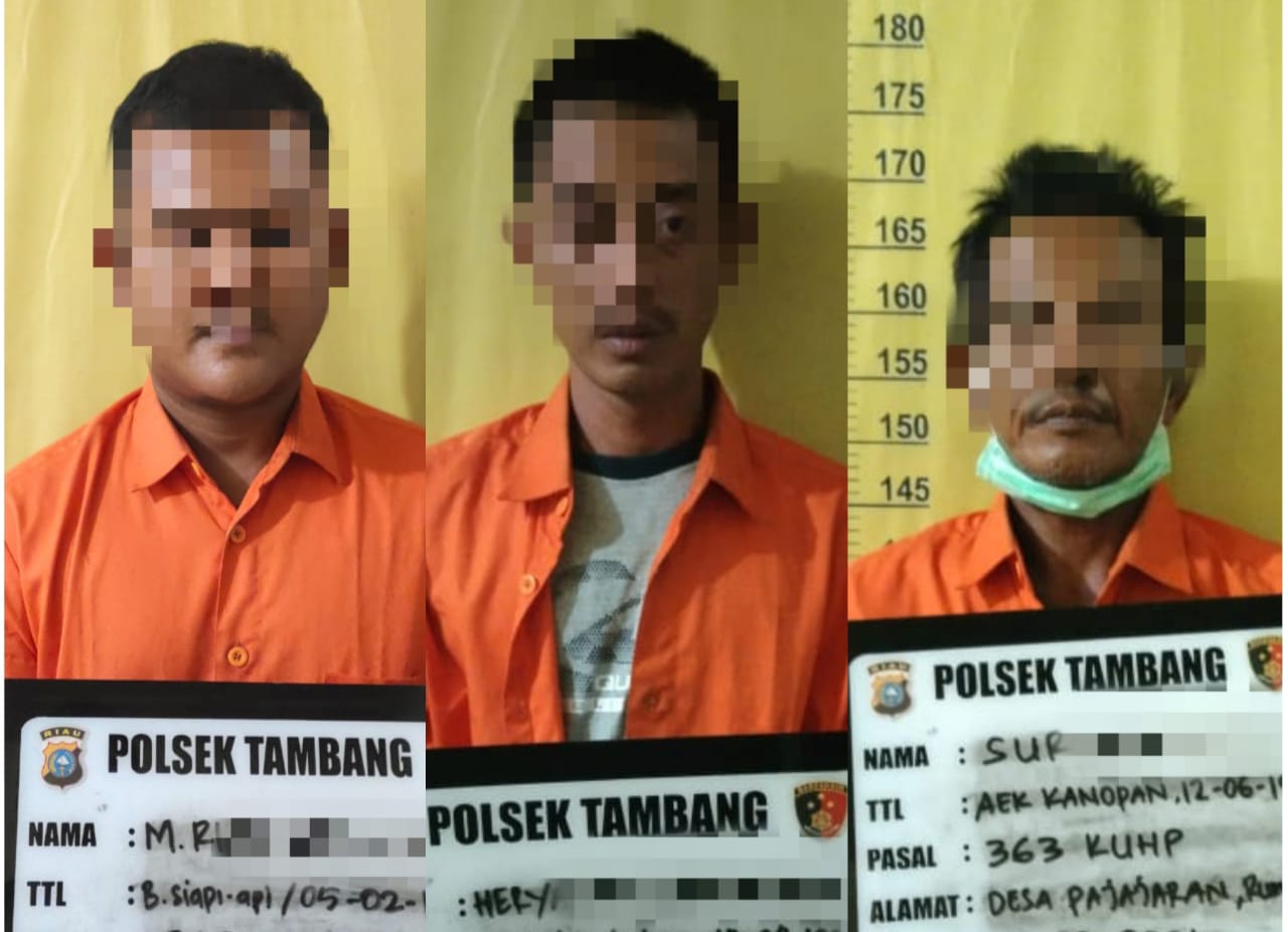 Curi Potongan Besi dan Seng Plat di Proyek Tol Bangkinang-Pekanbaru, 3 Pria Ditangkap Polisi