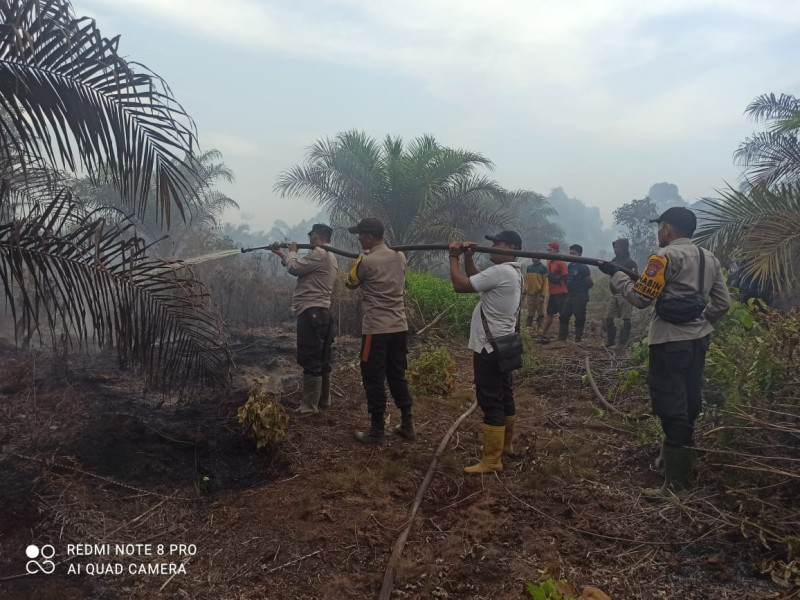 Karhutla di Riau Meluas, Total 1.146 Hektar Lahan Sudah Terbakar