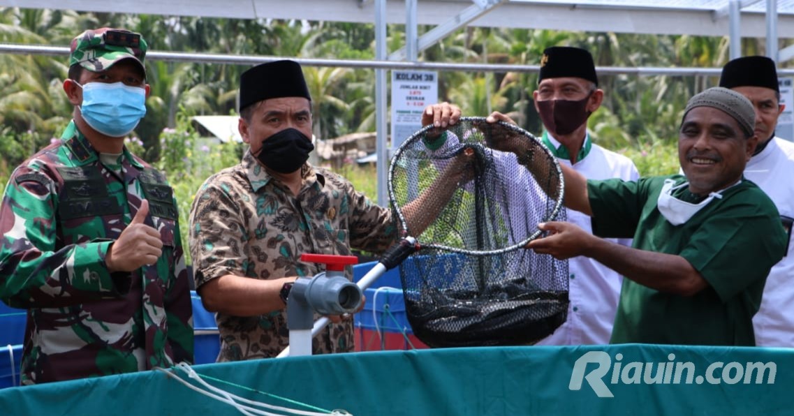 Ketua DPRD Inhil Panen Perdana Ikan Lele di Ponpes Syekh Abdurrahman Sidiq II Tembilahan