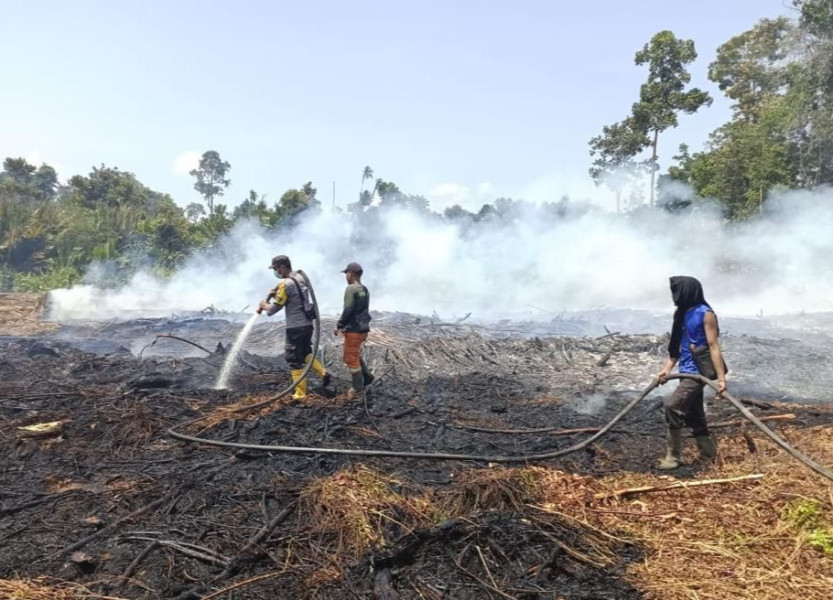 Total Sudah 131 Ha Lahan di Riau Terbakar, Bengkalis Paling Luas