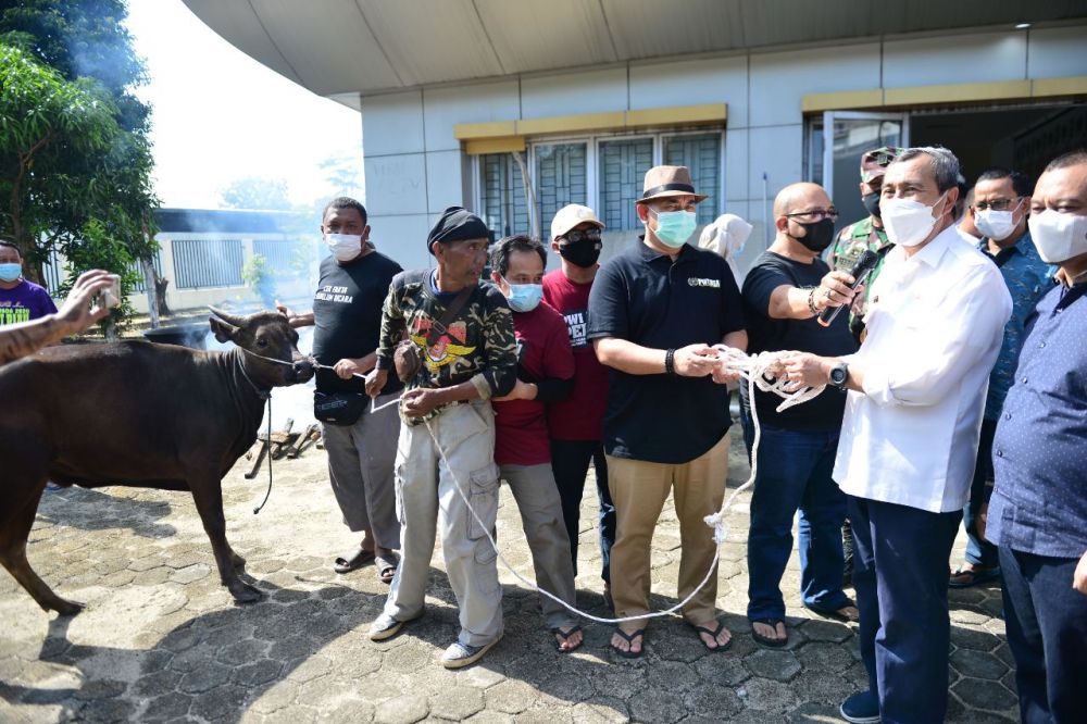 Terima Bantuan Sapi Kurban dari Gubernur, Ketua PWI Riau: Terima Kasih Semoga Bermanfaat