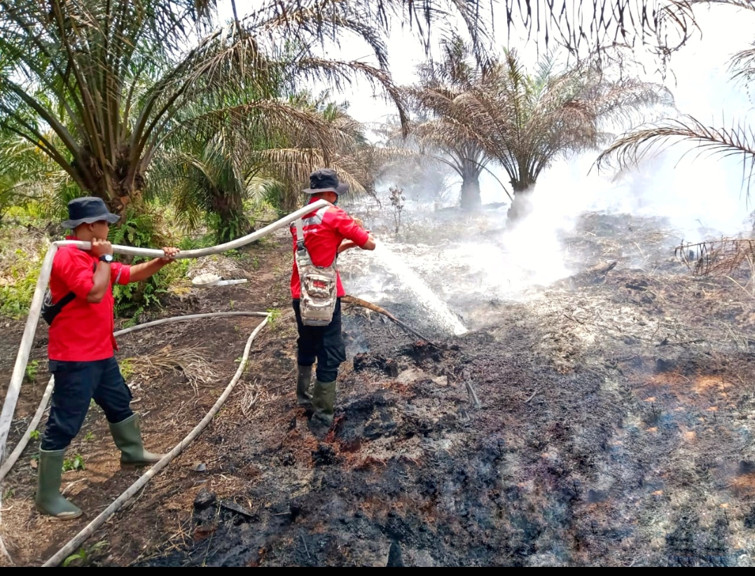 Satgas Karhutla Pelalawan Padamkan Titik Api di Desa Sering