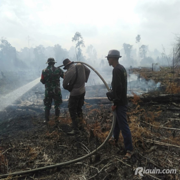 Karhutla di Riau Mengganas, Total 956 Ha Lahan Sudah Terbakar