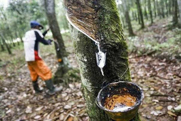 Alat Pengeboran Minyak dari Bahan Karet Segera Diproduksi di Riau
