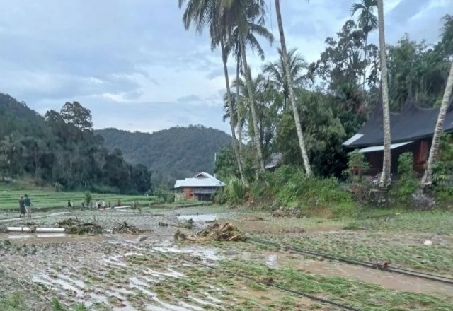 Banjir Bandang di Garabak Data Kabupaten Solok, Rumah dan Sawah Warga Terendam