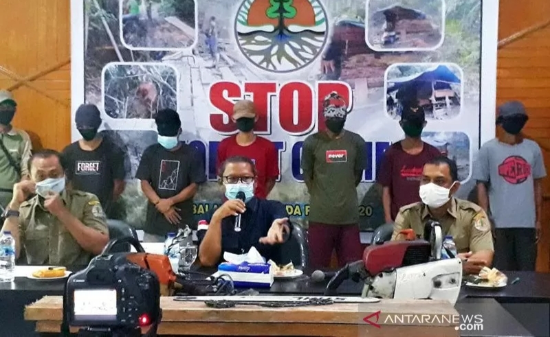 Pembalakan Liar di Cagar Alam Bukit Bungkuk Kampar, 7 Warga Tasikmalaya Ditangkap