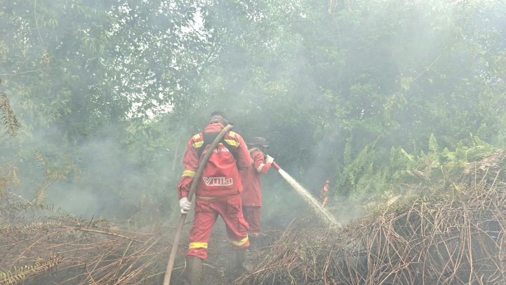 Manggala Agni Padamkan Karhutla di Sejumlah Wilayah Riau, Personel Tambahan Disiagakan ke Rohil