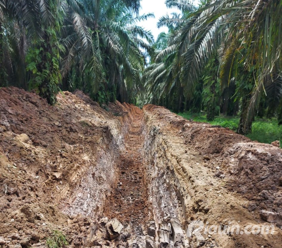 Tak Terima Penggalian Parit PT SAI, Puluhan Warga Ujung Batu Datangi Kades Luberti Rohul