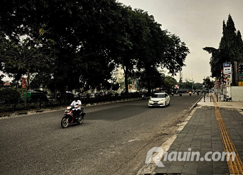 Pagi Ini Kota Pekanbaru Diselimuti Kabut, Begini Penjelasan BMKG