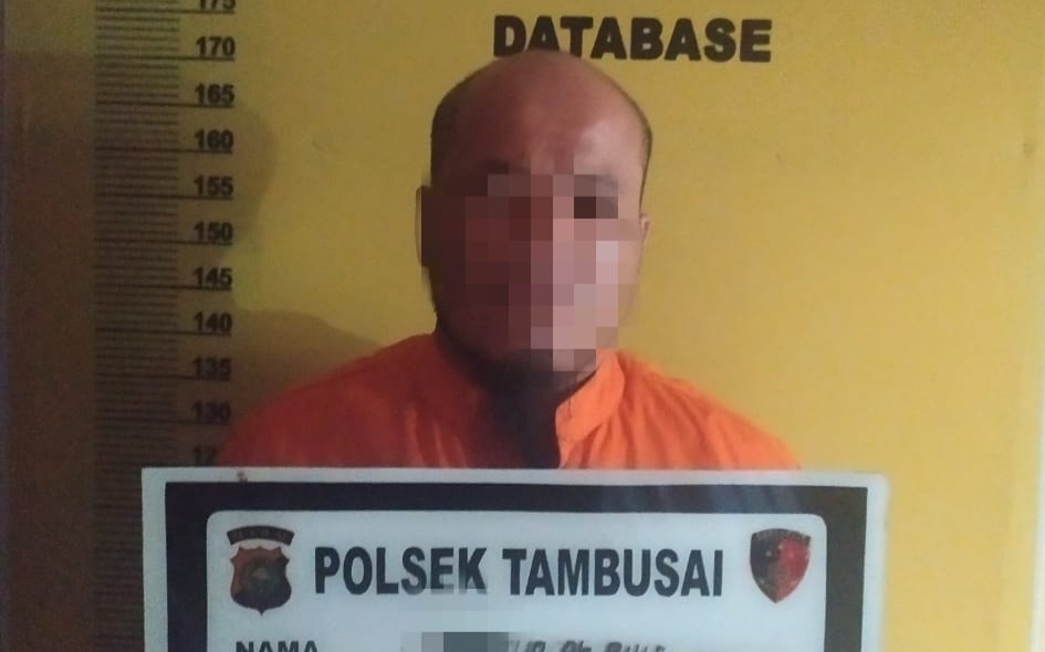 Curi Sawit di Tambusai, Bulek Ditangkap di Padang Lawas Sumut