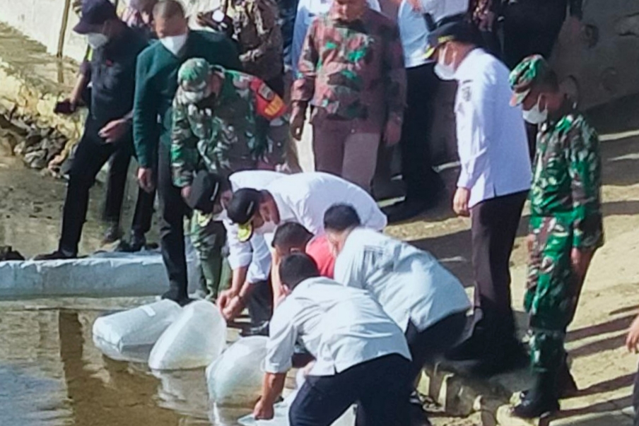 Berkunjung Ke Rohul, Gubri Tebar 6.000 Benih Ikan Patin di Desa Cipang Kiri Hulu
