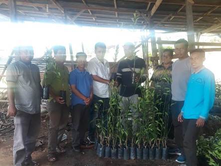RAPP Salurkan Ribuan Bibit Jeruk Manis