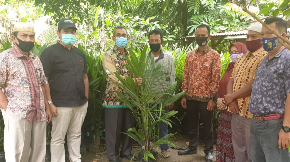 Serahkan Bibit Sawit Gratis, Bupati Kuansing: Semoga 3 Tahun Sudah Panen