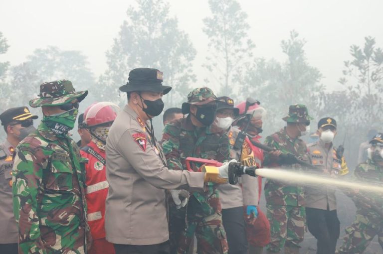 Investigasi Karhutla di Dumai dan Bengkalis, 20 Saksi Diperiksa