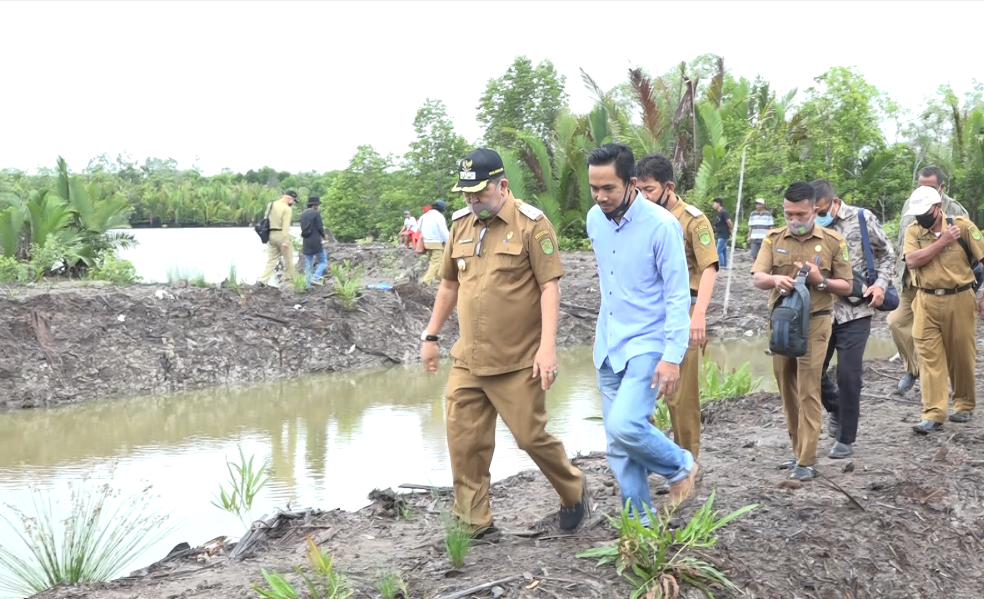 Wabup Inhil Survei Kawasan Tambak Udang Vaname di Kuala Enok