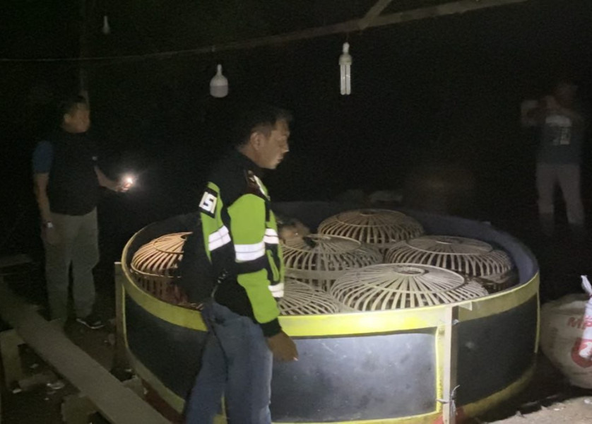 Polisi Gerebek Lokasi Diduga Arena Sabung Ayam di Tenayan Raya
