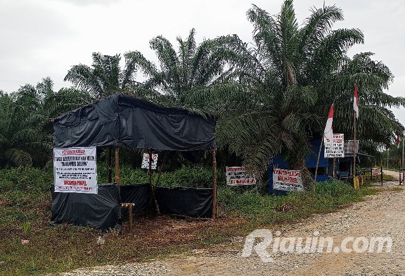 SK Pelepasan Kawasan Batal dan Tidak Kantongi HGU, PT DSI Akan Laporkan Pemilik Lahan Bersertipikat