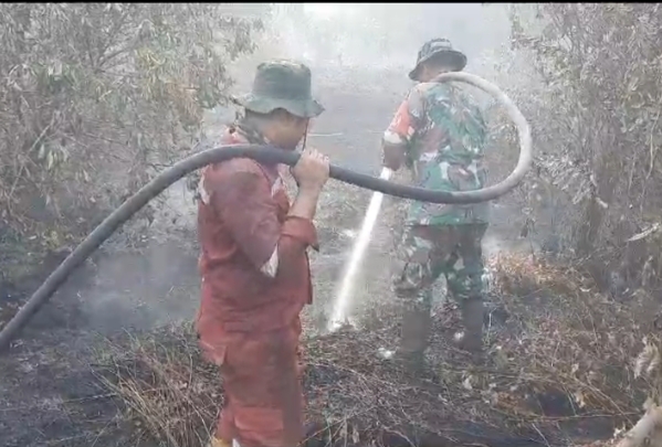 Karhutla di Rimbo Panjang, 4 Hektar Lahan Gambut Terbakar