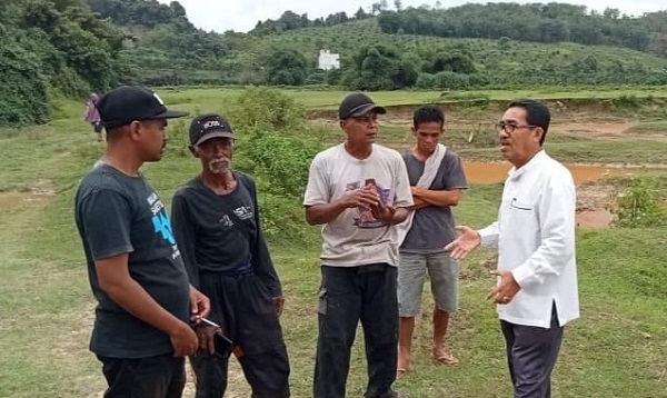 Ratusan Kerbau di Gunung Bungsu Diserang Wabah Ngorok