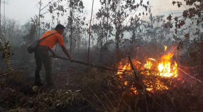 Sejak Awal Tahun 2021, Sudah 8 Pelaku Pembakar Lahan Ditangkap Polda Riau