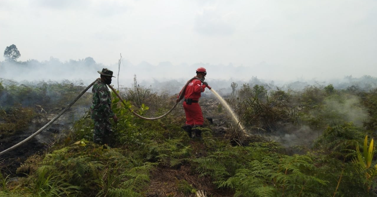 4 Hektar Lahan Terbakar di Kampar, Manggala Agni Lakukan Pemadaman Gabungan