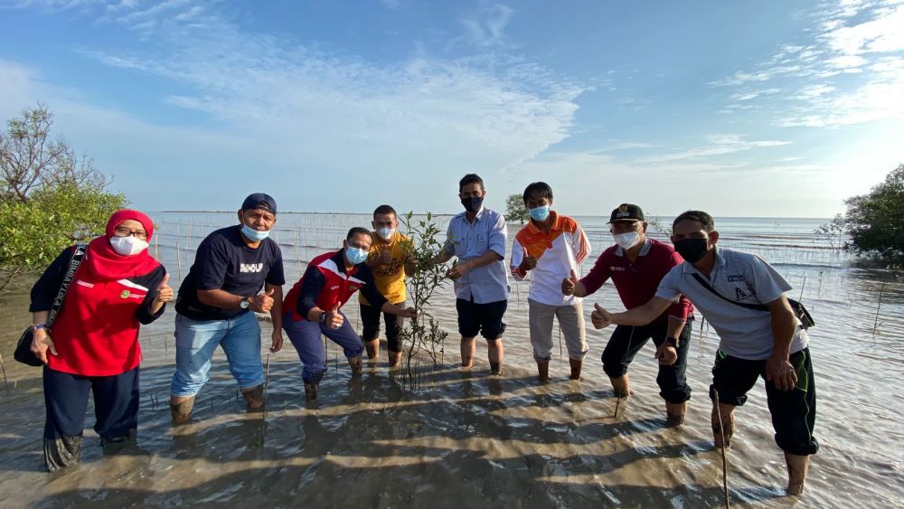 Cegah Abrasi, 14 Ribu Batang Mangrove Ditanam di Pantai Bengkalis